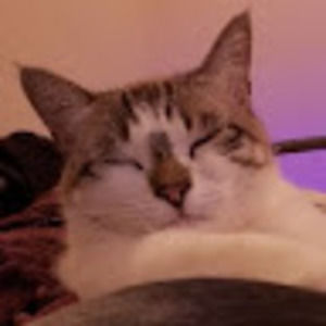 Meet your Posher, Marin